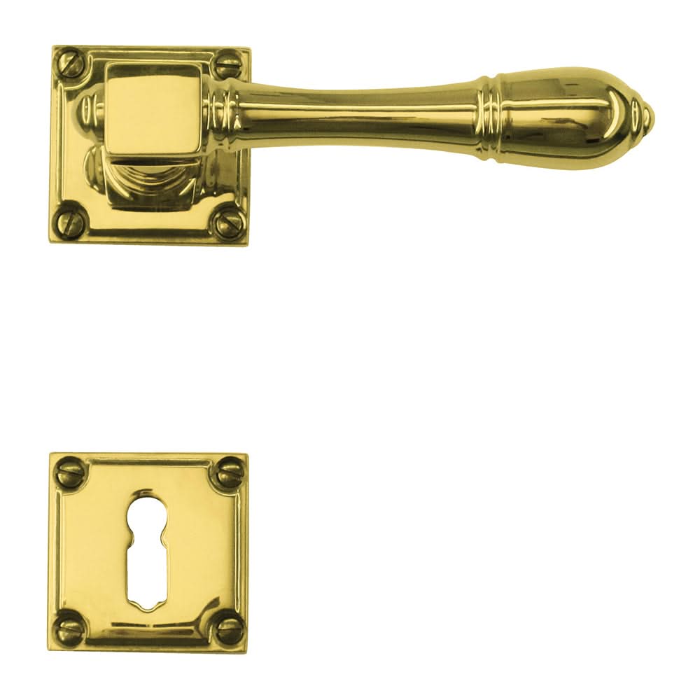 HDD Pro deurkruk Carré messing gelakt gemonteerd op deur