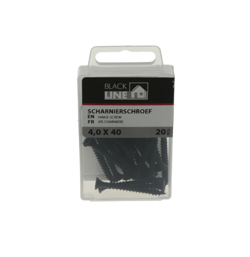 Blackline scharnierschroef HCP zwart 4,0x40 mm platkop TX-20 – detailfoto