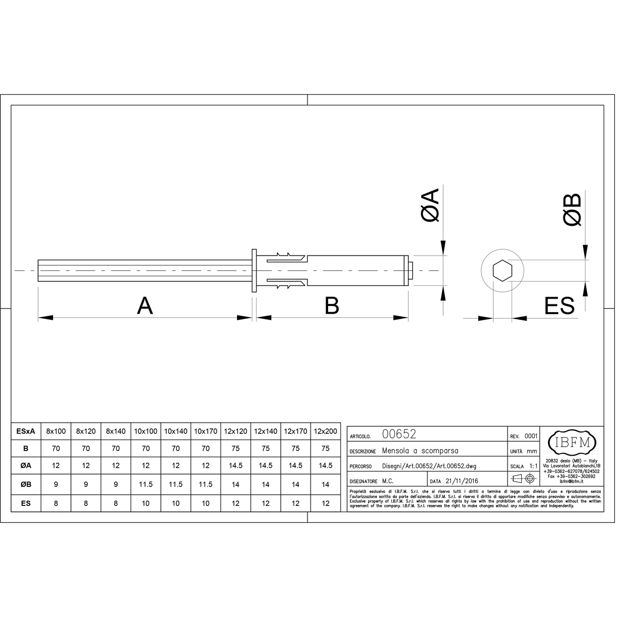 Dulimex DX blinde plankdrager Ø8x100 mm verzinkt, detail