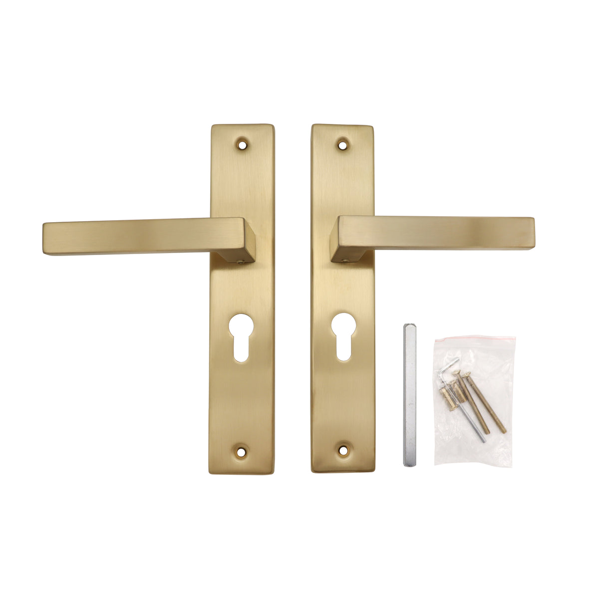 Griff Meister deurkruk Fortis Champagne PVD op schild PC55 – detailweergave