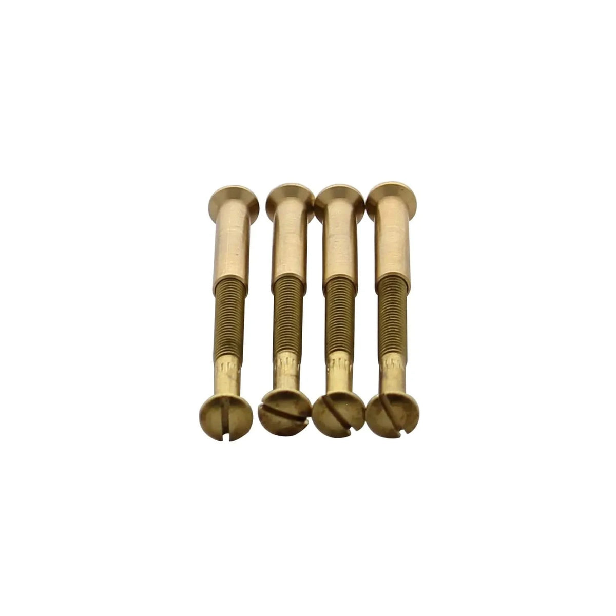 Intersteel patentboutjes M4x38 mm met hulsjes messing – vooraanzicht