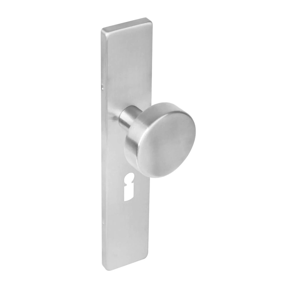 Intersteel knop op rechthoekig schild RVS geborsteld – gemonteerd