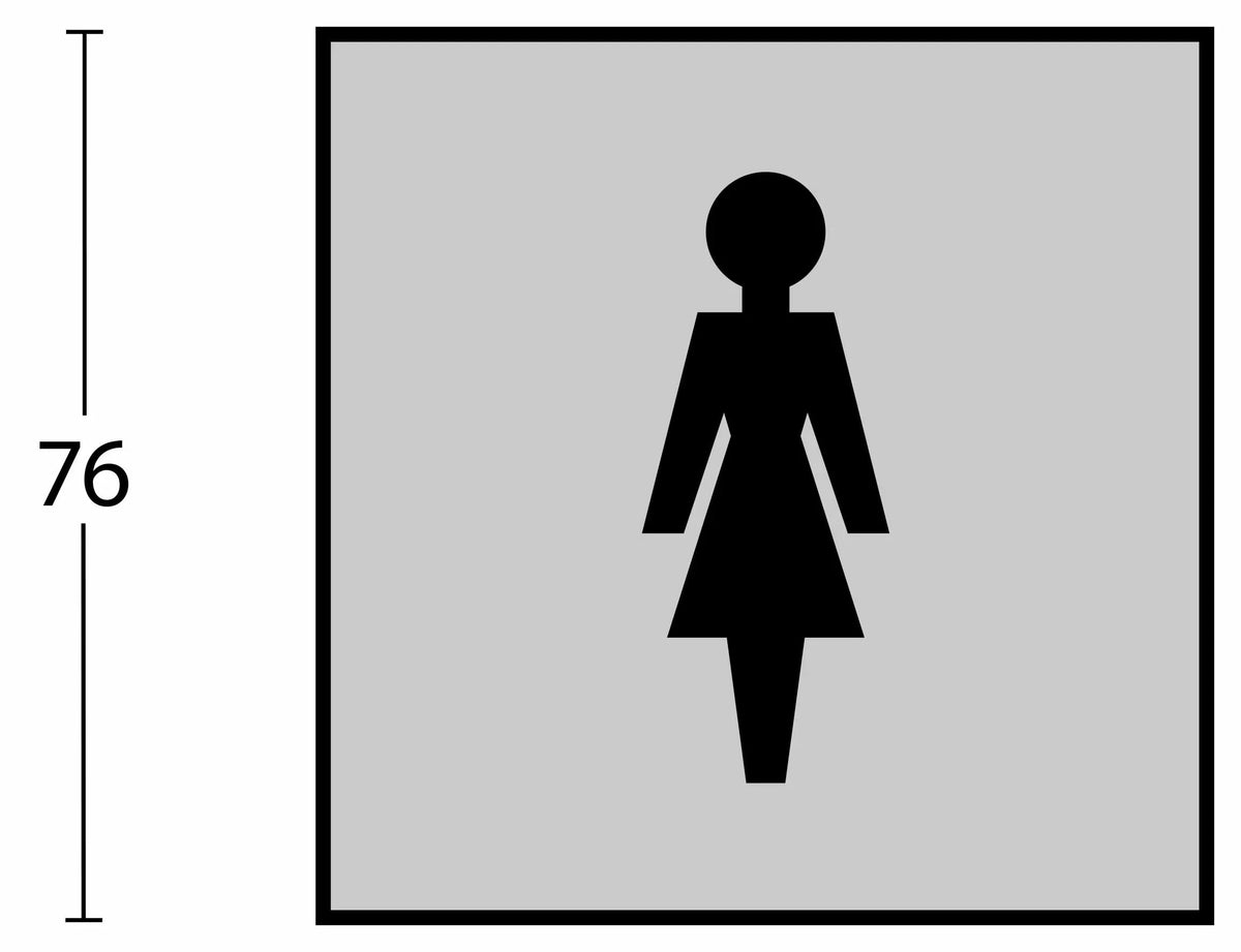 Intersteel pictogram damestoilet rvs geborsteld – detail