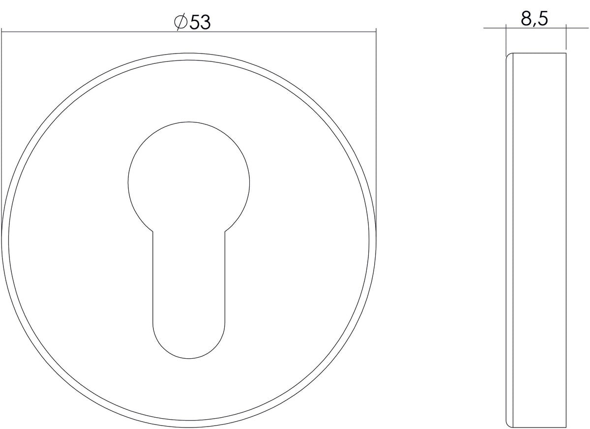 Intersteel rozet profielcilindergat rond verdekt RVS geborsteld – detail