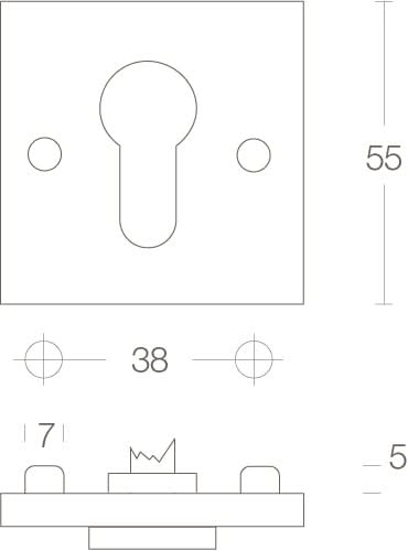 Intersteel rozet profielcilindergat vierkant groot chroom mat – detail