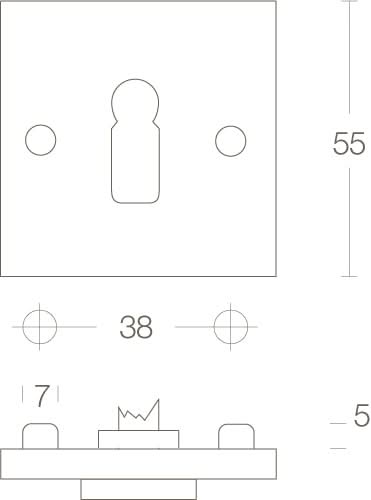 Intersteel rozet sleutelgat vierkant Chroom detail