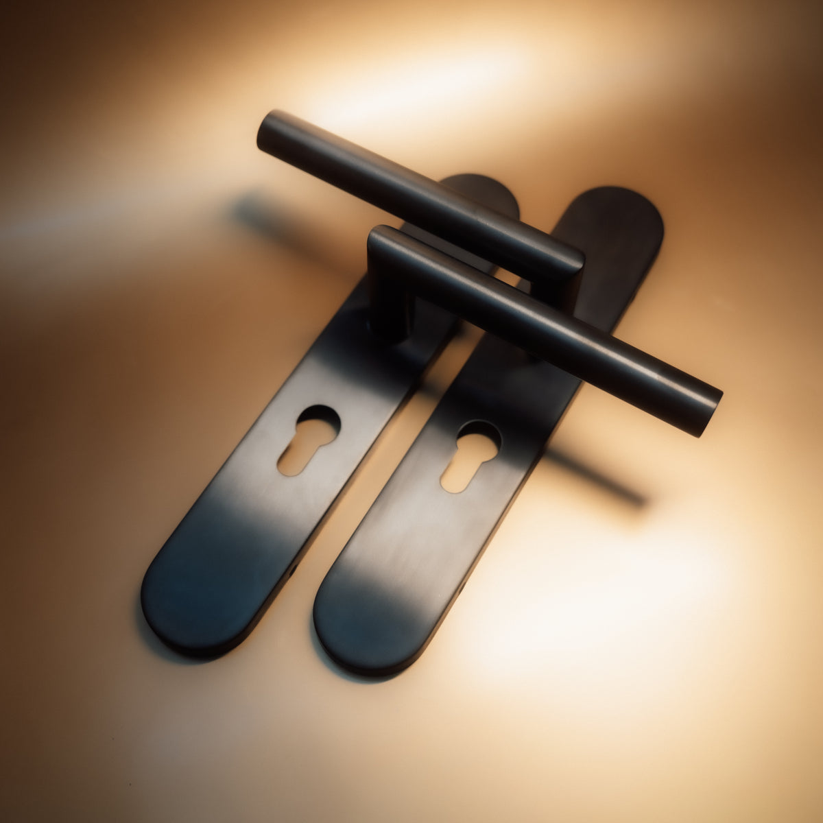 Griff Meister Deurkruk Cornisa Gunmetal Op ovaal schild PC55 – sfeerfoto in interieur